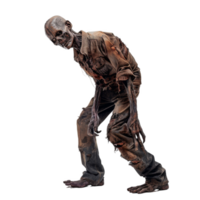 Stalker Zombie